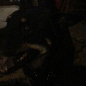 Meet your Posher, Joann